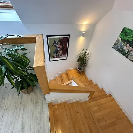 Сasa de vacaciones Arbol Blaanco *