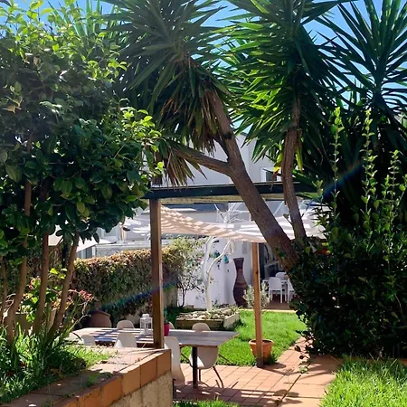 Arbol Blaanco Llanera (Asturias)