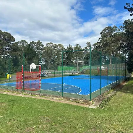 árbol Blaanco Llanera (Asturias)