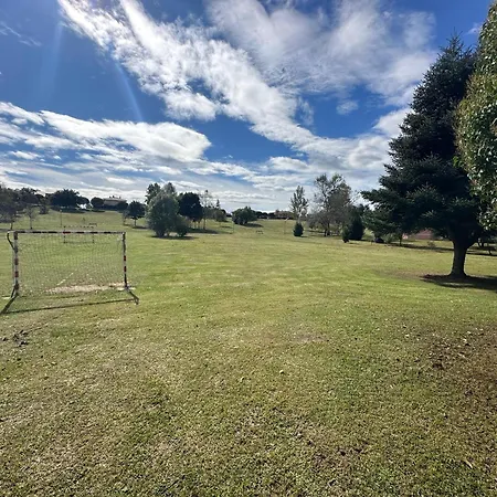 árbol Blaanco * Llanera (Asturias)